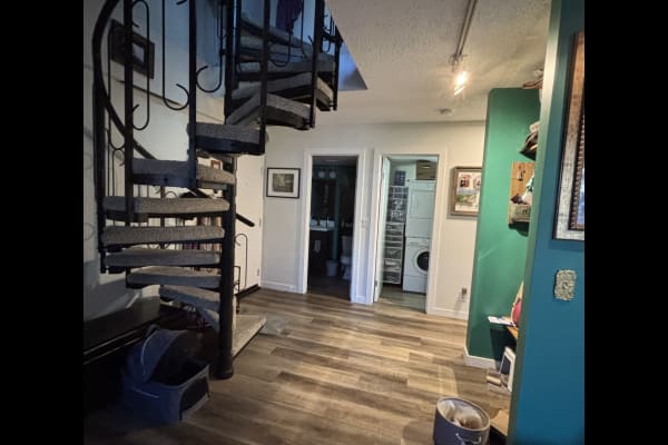 House sit in Calgary, AB, Canada