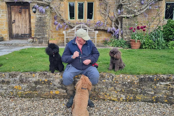 House sit in South Petherton, United Kingdom