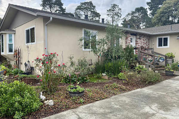 House sit in Monterey, CA, US