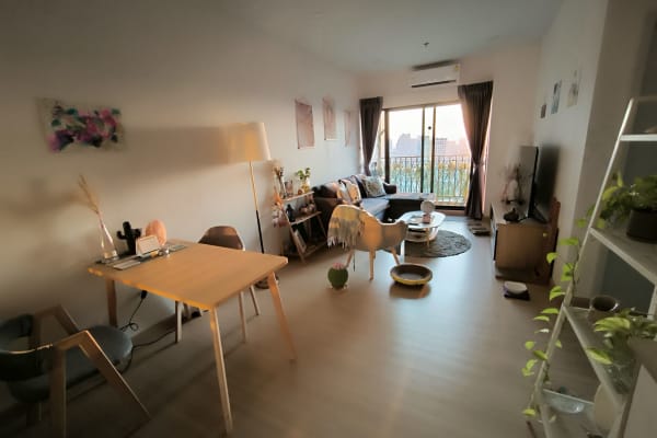 House sit in Bangkok, Thailand