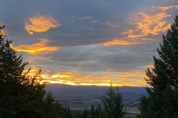 House sit in Coldstream, BC, Canada