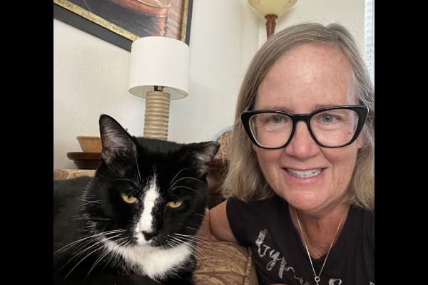 House sit in Dunedin, FL, US