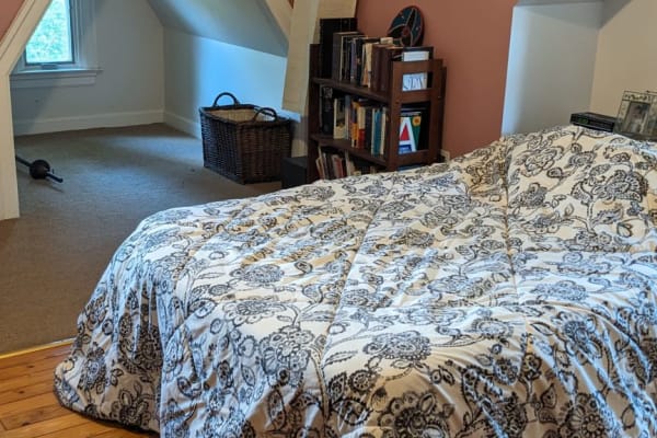 House sit in Takoma Park, MD, US