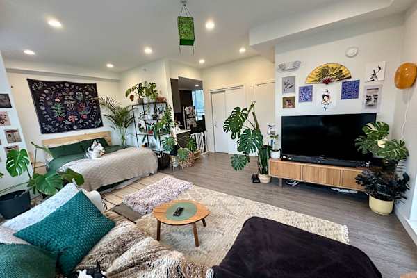 House sit in Vancouver, BC, Canada