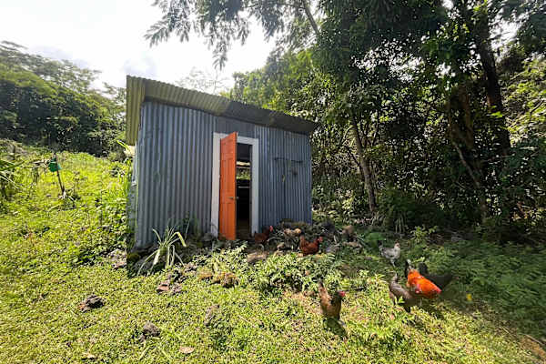 House sit in Captain Cook, HI, US