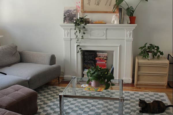 House sit in Montréal, QC, Canada