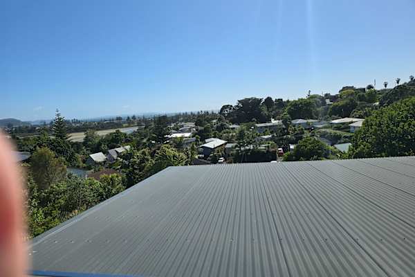 House sit in Orewa, New Zealand