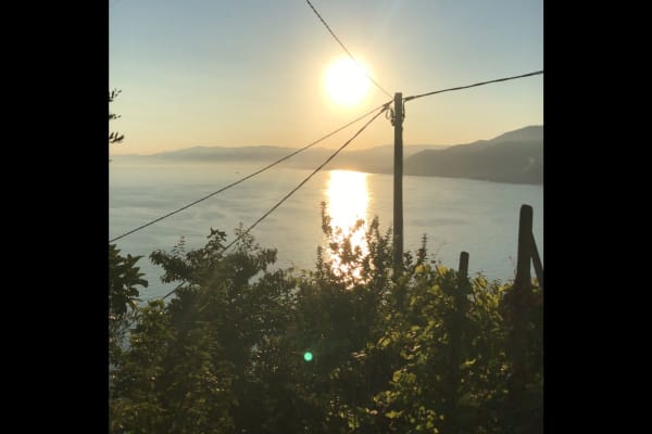 House sit in Camogli, Italy