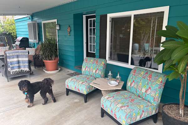 House sit in Palm Springs, CA, US