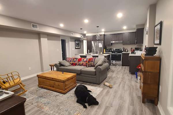 House sit in Guelph, ON, Canada