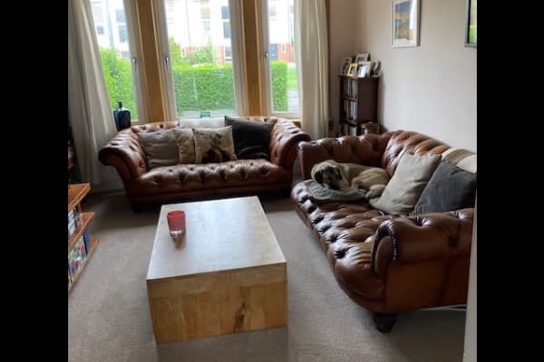 House sit in Glasgow, United Kingdom