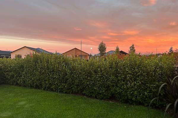 House sit in Christchurch, New Zealand