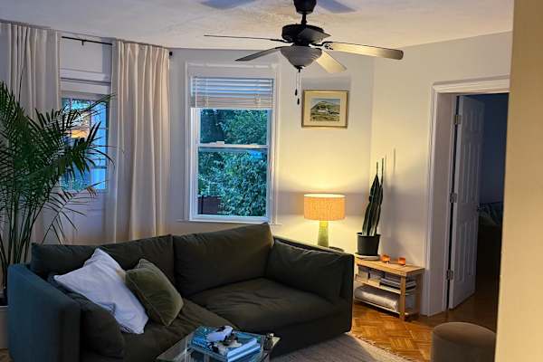 House sit in Somerville, MA, US