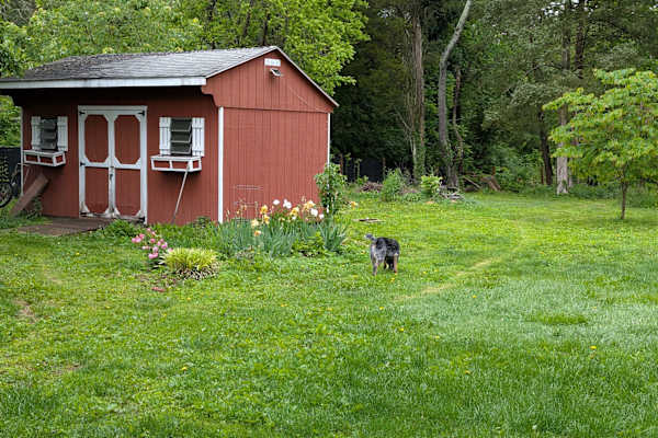 House sit in Skippack, PA, US