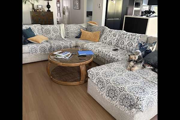 House sit in Caloundra, QLD, Australia