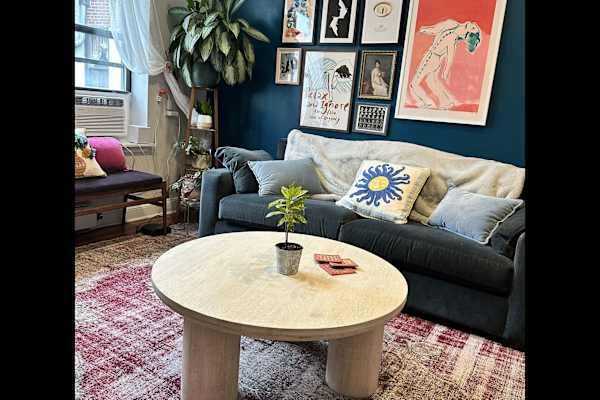 House sit in Brooklyn, NY, US