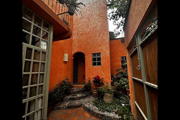 House sit in San Miguel de Allende, Mexico