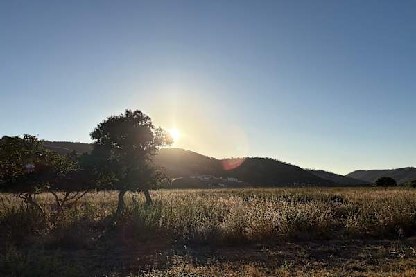 House sit in Vilarinha, Portugal