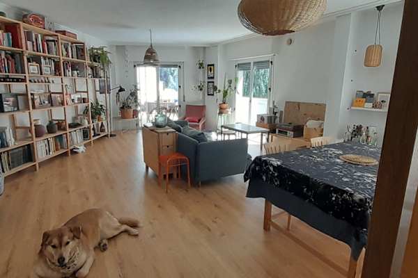 House sit in Granada, Spain