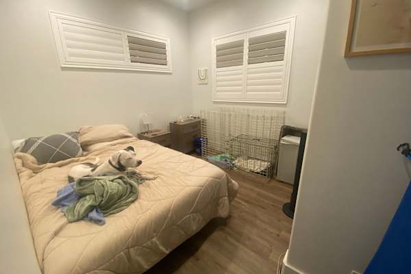 House sit in Pukalani, HI, US