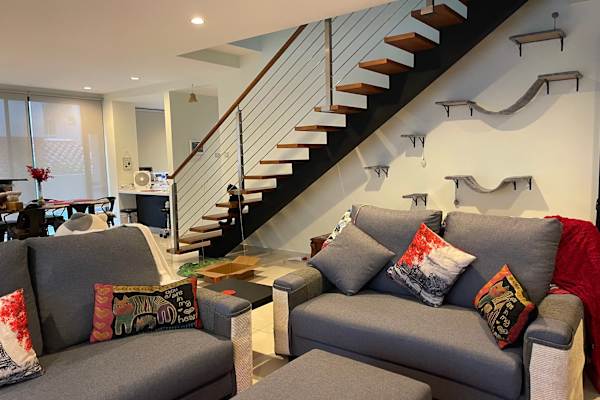 House sit in Ang Mo Kio New Town, Singapore
