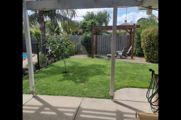 House sit in Geelong, VIC, Australia