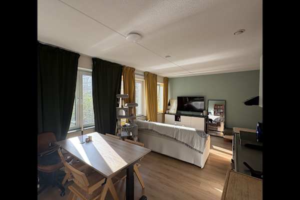 House sit in Amsterdam, Netherlands