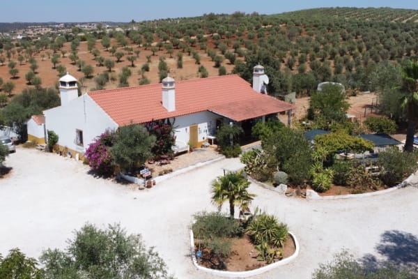 House sit in Alandroal, Portugal