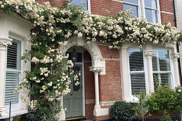 House sit in Sidcup, United Kingdom