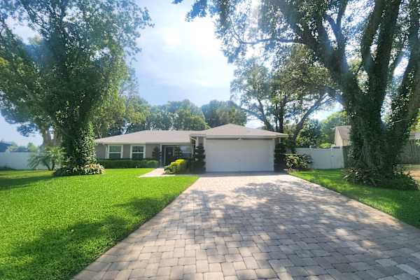 House sit in Orlando, FL, US