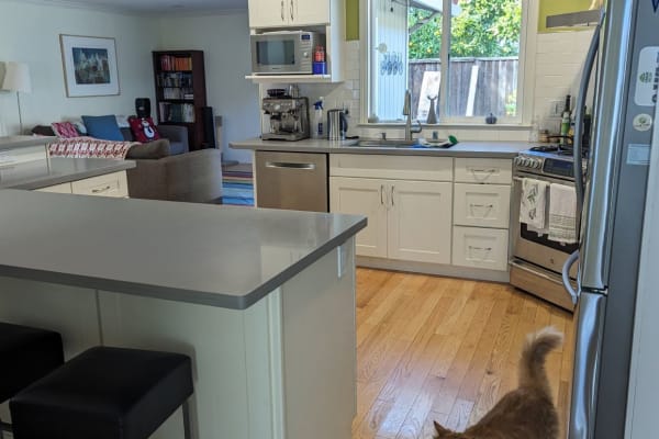 House sit in San Jose, CA, US