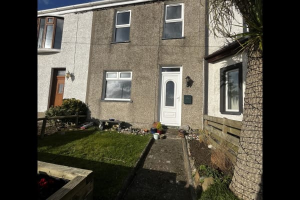 House sit in Newtownards, United Kingdom