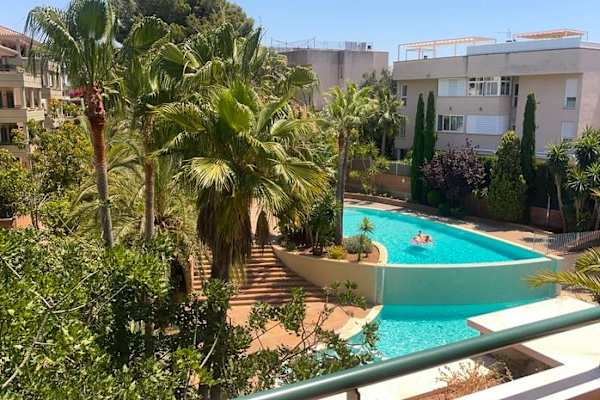 House sit in Palma, Spain