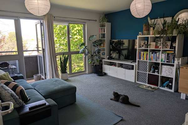 House sit in Clapham North, United Kingdom