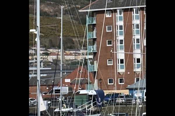 House sit in Swansea, United Kingdom