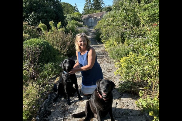 House sit in Charlton Mackrell, United Kingdom