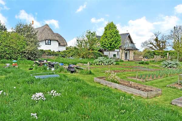 House sit in Chippenham, United Kingdom