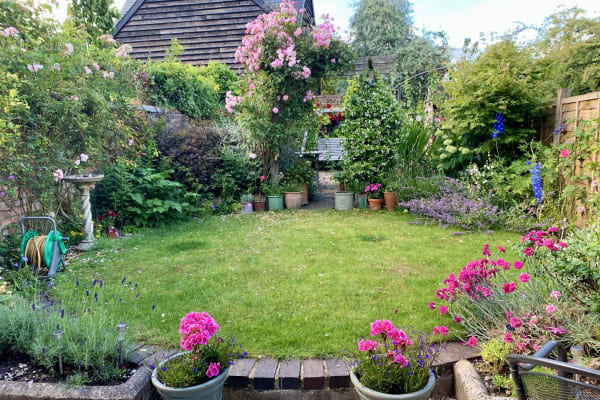House sit in Winchester, United Kingdom