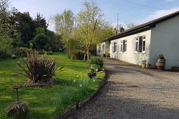 House sit in Gorey, Ireland