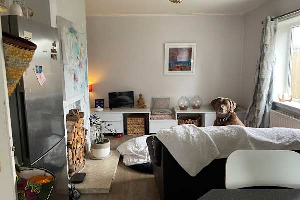 House sit in Wrexham, United Kingdom