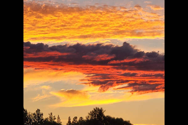 House sit in Bend, OR, US