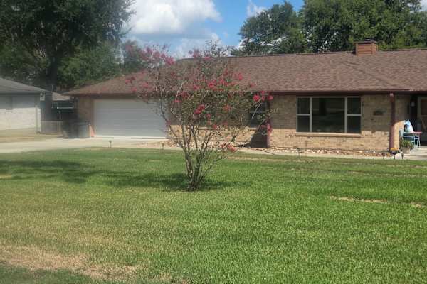 House sit in Conroe, TX, US
