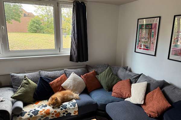 House sit in London, United Kingdom
