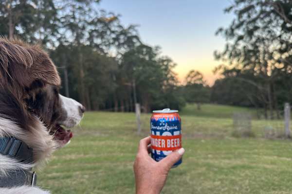 House sit in Cabarlah, QLD, Australia