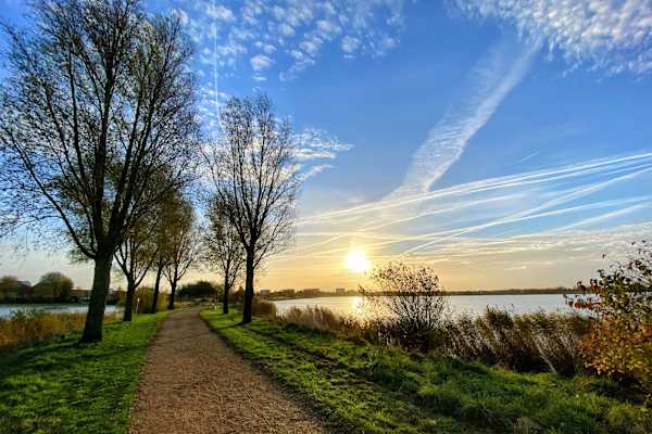 House sit in Hoofddorp, Netherlands