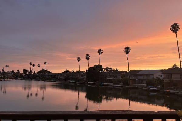 House sit in Berkeley, CA, US