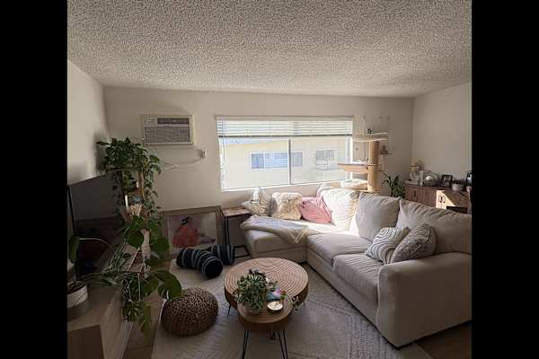 House sit in Culver City, CA, US