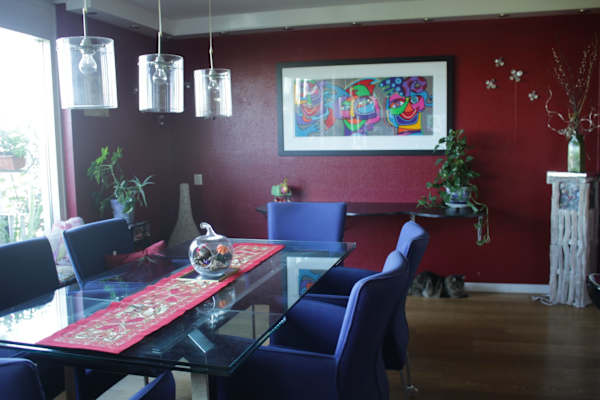 House sit in Amsterdam, Netherlands