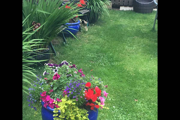 House sit in Newcastle upon Tyne, United Kingdom