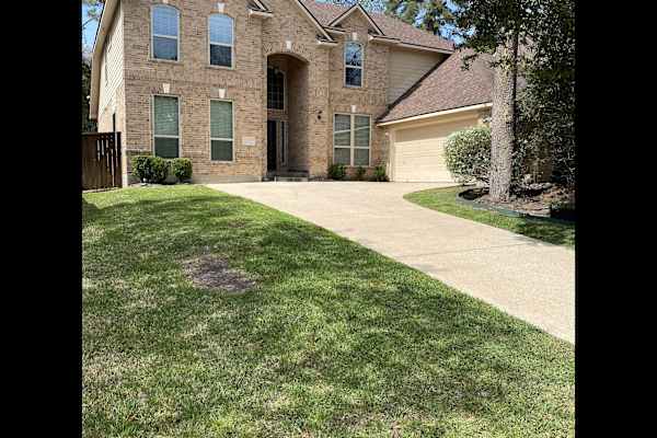 House sit in The Woodlands, TX, US